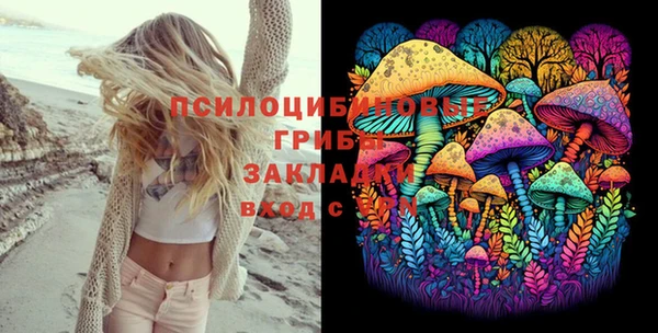прущие грибы Ростов