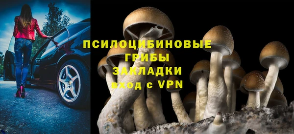 круглые Аркадак