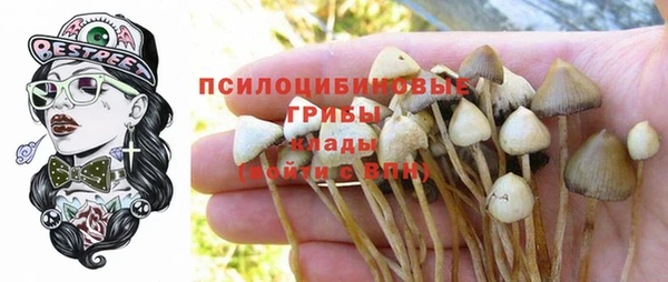 спайс Балабаново