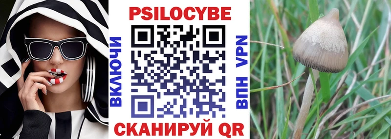 Галлюциногенные грибы Cubensis  хочу   Старица 